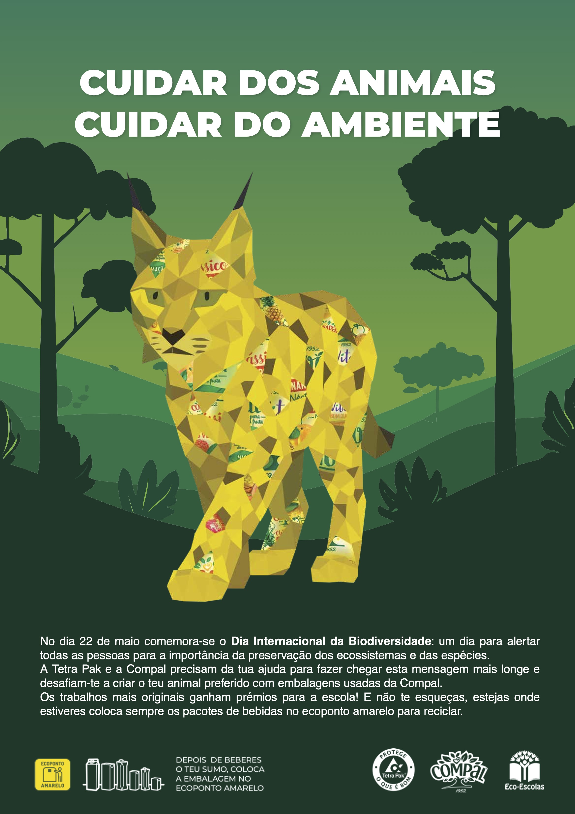 Ver o Póster