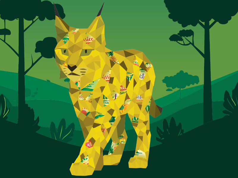 lince Cuidar dos Animais, Cuidar do Ambiente